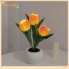 Tulip Lamp - LED Replica Tulip Table Lamp with Flower Vase for Desktop Decoration. Suitable for home, living room, desktop decoration, holiday gifts