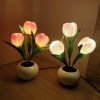 Tulip Lamp - LED Replica Tulip Table Lamp with Flower Vase for Desktop Decoration. Suitable for home, living room, desktop decoration, holiday gifts