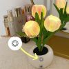 Tulip Lamp - LED Replica Tulip Table Lamp with Flower Vase for Desktop Decoration. Suitable for home, living room, desktop decoration, holiday gifts